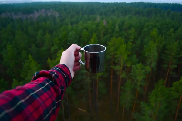 Morgendlicher Kaffer in der Natur